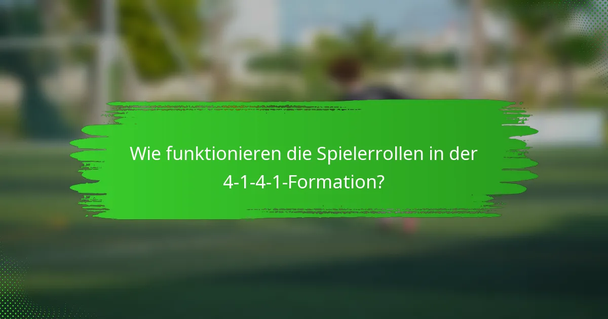 Wie funktionieren die Spielerrollen in der 4-1-4-1-Formation?