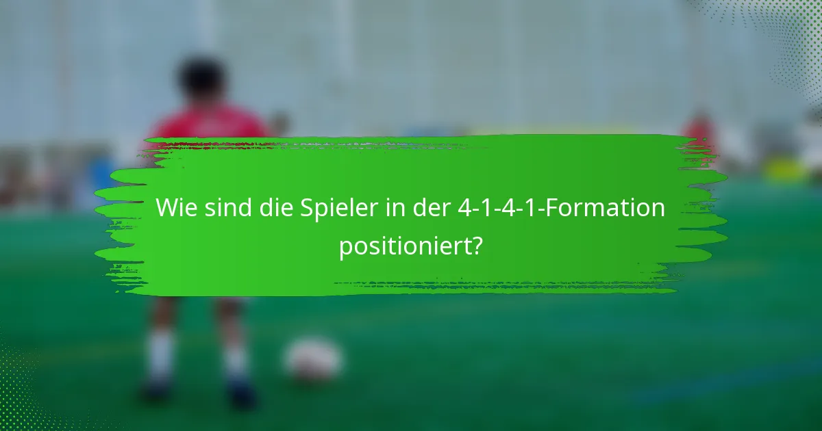 Wie sind die Spieler in der 4-1-4-1-Formation positioniert?